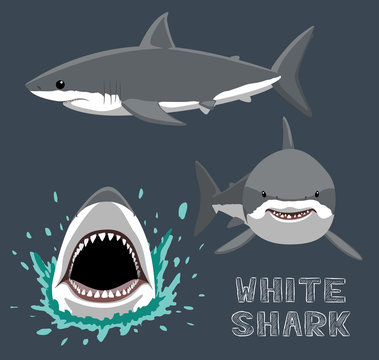 White Shark Cartoon Vector Illustration