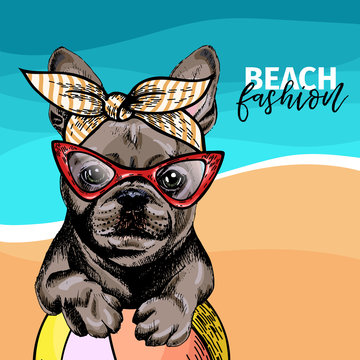 Vector portrait of French bulldog dog weas sunglasses and retro bandana. Summer fashion illustration. Sea, beach, ocean. Hand drawn pet portait. Poster, t-shirt print, holiday, postcard, summertime