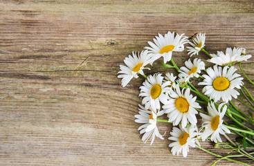 Fototapeta premium Chamomile flowers on a wooden table