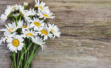Obraz premium Chamomile flowers on a wooden table