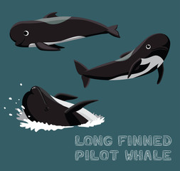 Obraz premium Long Finned Pilot Whale Cartoon Vector Illustration