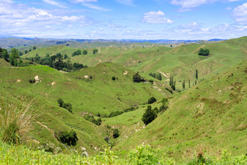 Rural scenery in Taranaki, New Zealand
