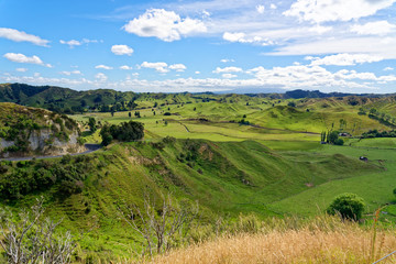 Fototapeta na wymiar Rural scenery in Taranaki, New Zealand