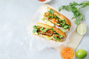 Classical banh-mi sandwich with sliced grilled pork tenderloin, shredded carrots and peeled cucumbers, jalapeno peppers and cilantro on white textured background. Top view, copy space