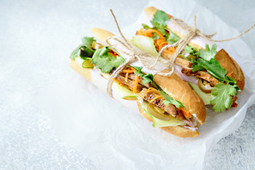 Classical banh-mi sandwich with sliced grilled pork tenderloin, shredded carrots and peeled cucumbers, jalapeno peppers and cilantro on white textured background. Top view, copy space