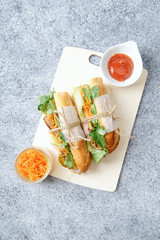 Classical banh-mi sandwich with sliced grilled pork tenderloin, shredded carrots and peeled cucumbers, jalapeno peppers and cilantro