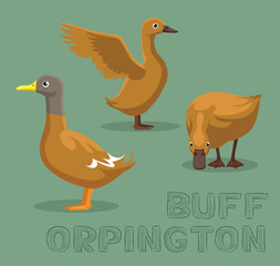 Duck Buff Orpington Cartoon Vector Illustration