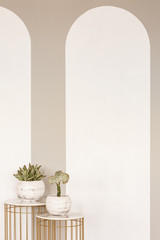 Plants on gold tables in empty white interior with copy space on the wall. Real photo