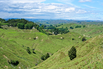 Rural scenery in Taranaki, New Zealand