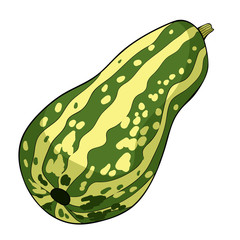 green vegetable.  illustration