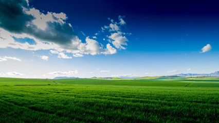 Green fields blue sky