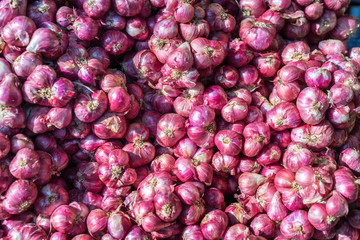 Red onions (Allium cepa) have a mild to sweet flavor. They are often consumed raw, grilled or lightly cooked with other foods, or added as a decoration to salads.
