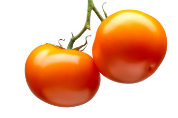 Bunch of delicious red tomatoes isolated on white background with clipping path