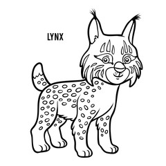 Fototapeta na wymiar Coloring book, Lynx