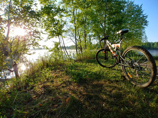 Fototapeta na wymiar bicycle in the forest on the beach