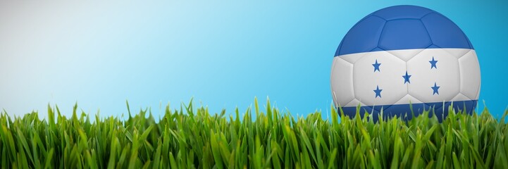 Composite image of football in honduras colours 