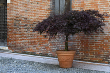 Verona, city on the Adige river in Veneto. Romeo and Juliet’s story. Italy.