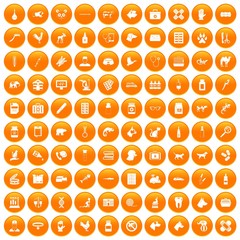 100 veterinary icons set in orange circle isolated on white vector illustration