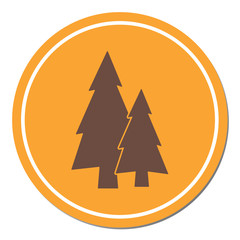 Obraz premium Fir Trees forest