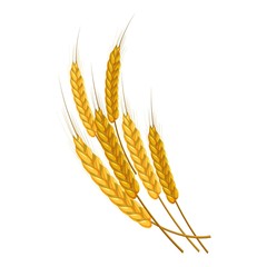 Gold ripe wheat ears icon. Cartoon illustration of wheat ears vector icon for web design