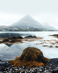 Typical Iceland landscape with fjord, mountains and old ship
