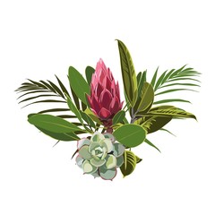 Tropical flowers, palm leaves, jungle leaf, succulent and protea flower. Exotic illustrations, floral elements isolated, Hawaiian bouquet for greeting card, wedding, wallpaper.