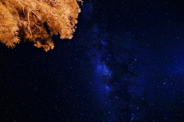 Milky way in the outback of Australia