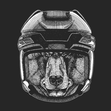 Black bear Wild animal wearing hockey helmet. Print for t-shirt design.