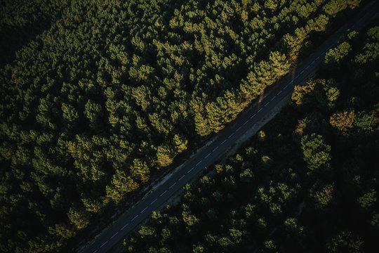 Route foresti&egrave;re au dessus du massif de la Foret de Gascogne