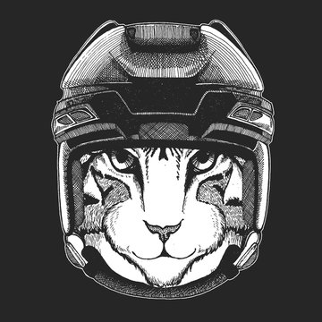 Image of domestic cat Wild animal wearing hockey helmet. Print for t-shirt design.