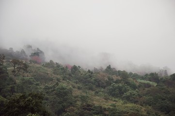 View of foggy mountain after the raining day