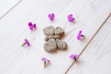 top view of, clay butterfly and pink flowers on white wooden background