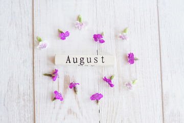 top view of wooden calendar with August sign and pink flowers.