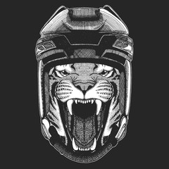Wild tiger Wild animal wearing hockey helmet. Print for t-shirt design.