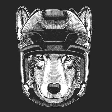 Wild animal wearing hockey helmet. Print for t-shirt design.