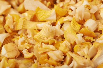 Surface coated with the sliced chanterelle