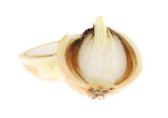 rotten onion isolated on white background