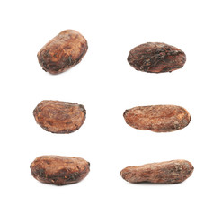 Fototapeta na wymiar Single cocoa bean isolated