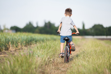  The boy is riding a bicycle in the field.