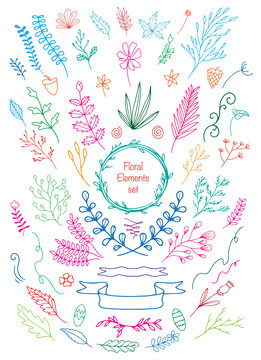 floral elements set