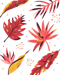 Floral card design, invite poster, invitation