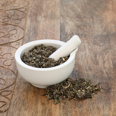 Mugwort leaf herb used in alternative and chinese herbal medicine to stimulate gastric juices and bile secretion, as a liver tonic and sedative. In a mortar with pestle  Artemesia vulgaris.