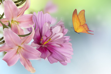 Fototapeta na wymiar wild beautiful flowers with butterfly