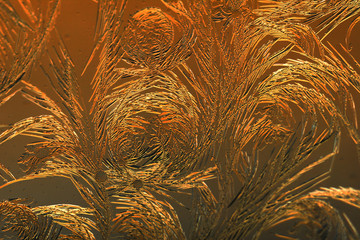 Gold frost drawings on the glass as a background