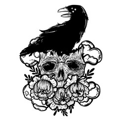Vector illustration with a human skull, raven and flowers. Gothic brutal skull. For print t-shirts or book coloring.