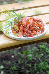 Fresh crayfish boiled with spices and dill served on a round dish.