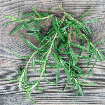 Bunch of fresh rosemary twigs on gray wooden background, square format, top view
