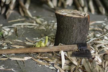 kışa hazırlık odunlar