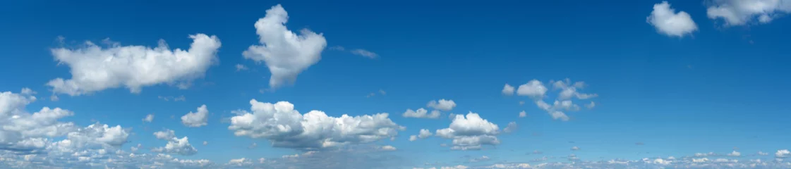 Foto op Plexiglas anti-reflex Wide sky panorama with scattered cumulus clouds © spaskov