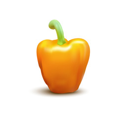 Ripe realistic pepper